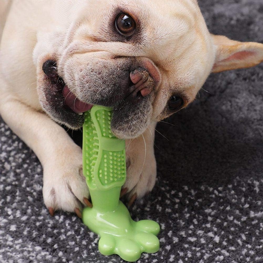 Natural Rubber Dog Toothbrush