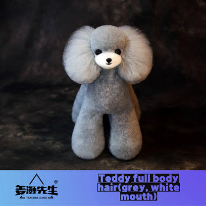 Mr.Jiang Teddy Fake Hair Pet Teacher Beauty Modeling Practice Dog Model Standard Skeleton Model Dog Whole Body Fake Hair