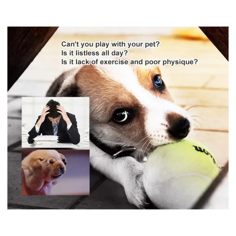 1pc Pet Dog Bite Ball Toys For Small Dogs Rubber Chew Puppy Toy Dog Stuff Dogs Toys Pets  Small Ball