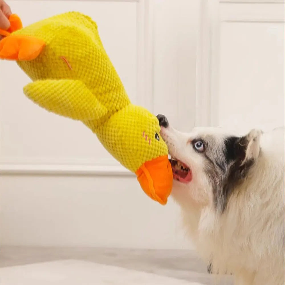 Interactive Quacking Duck Toy for Dog with Real Quack Sound,Stuffed Duck Toy