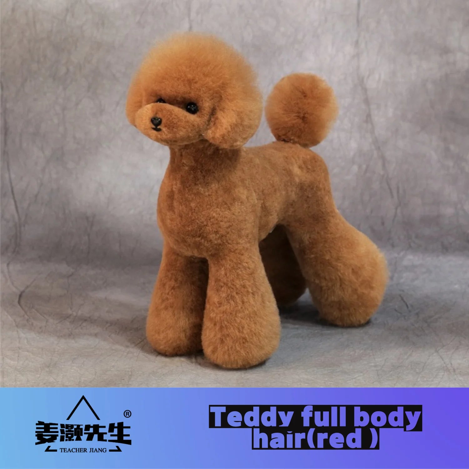 Mr.Jiang Teddy Fake Hair Pet Teacher Beauty Modeling Practice Dog Model Standard Skeleton Model Dog Whole Body Fake Hair