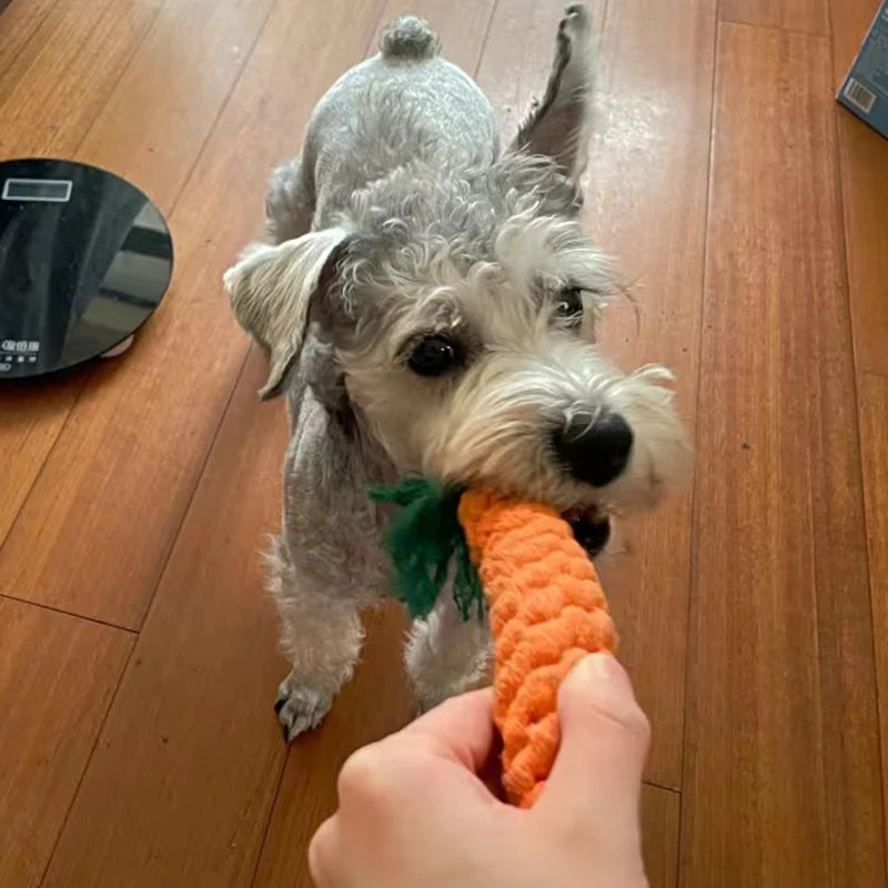 1pcs Bite Resistant Pet Dog Chew Toys for Small Dogs Cleaning Teeth Puppy Cat Rope Knot Ball Toy Playing mascotas Accessories